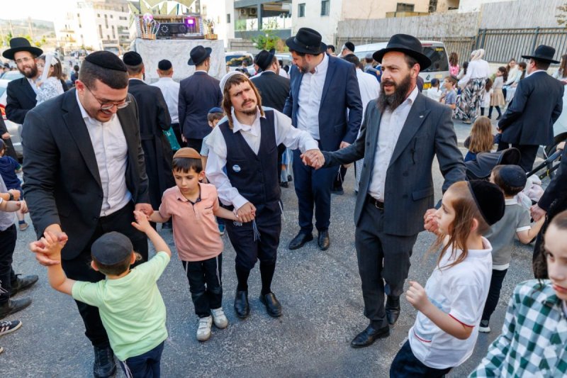 מאיר זלזניק