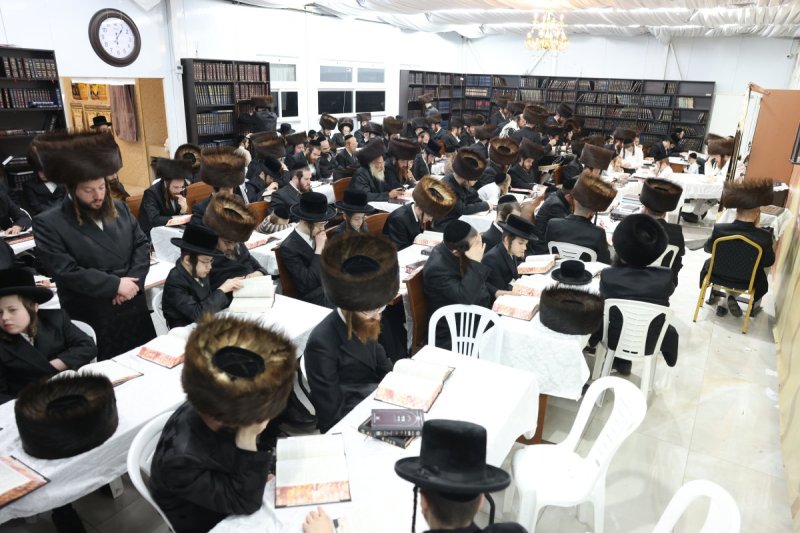 באדיבות המצלם