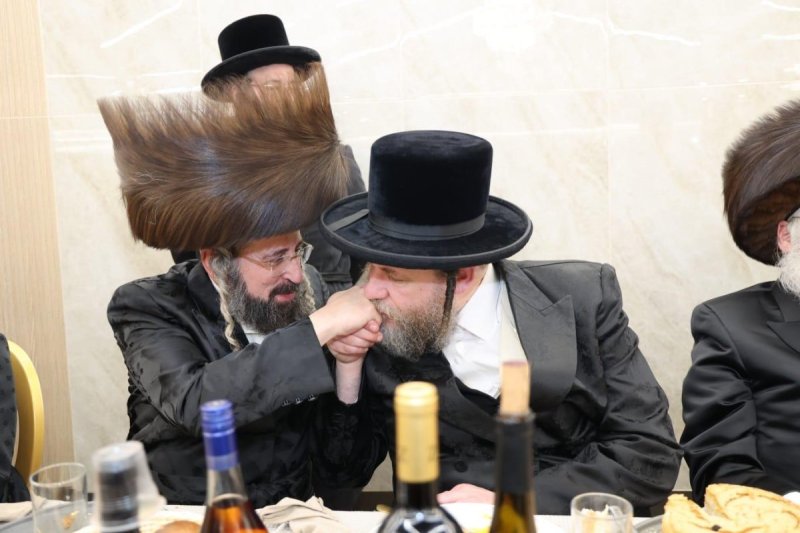 שלומי טריכטר