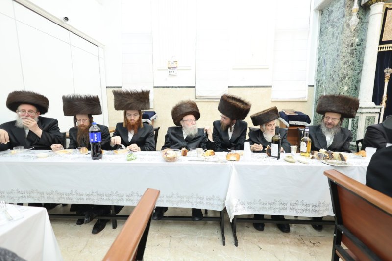 שלומי טריכטר