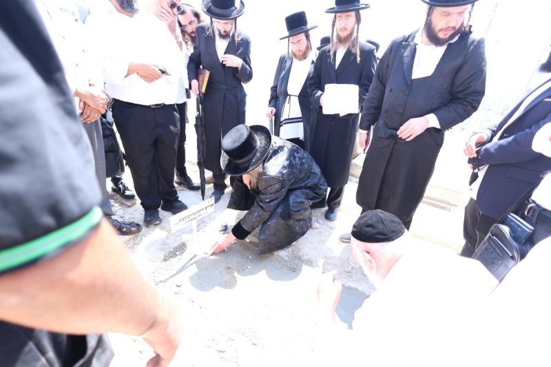 שלומי טריכטר