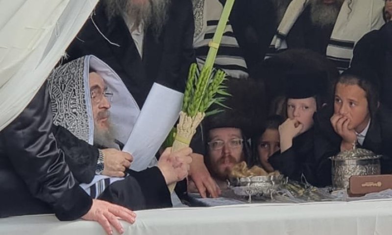 תיעוד: האדמו"ר מויז'ניץ מברך על ארבעת המינים בסוכתו הפרטית