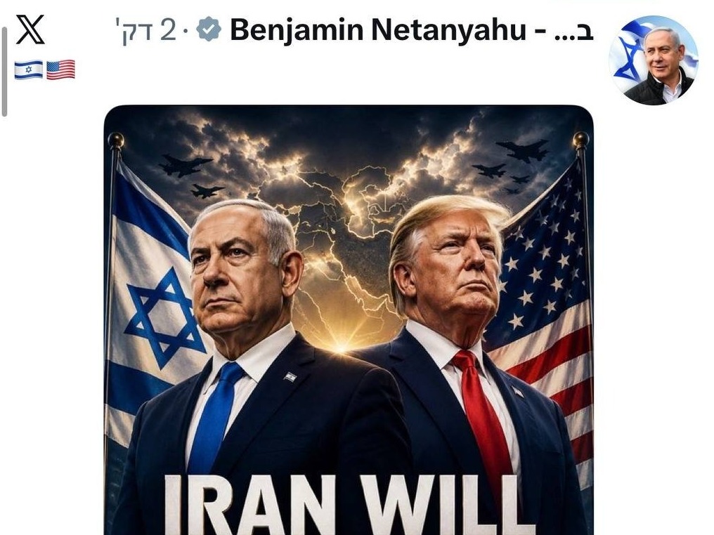 רשת X