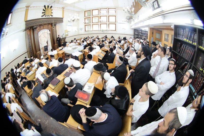 שלומי טריכטר