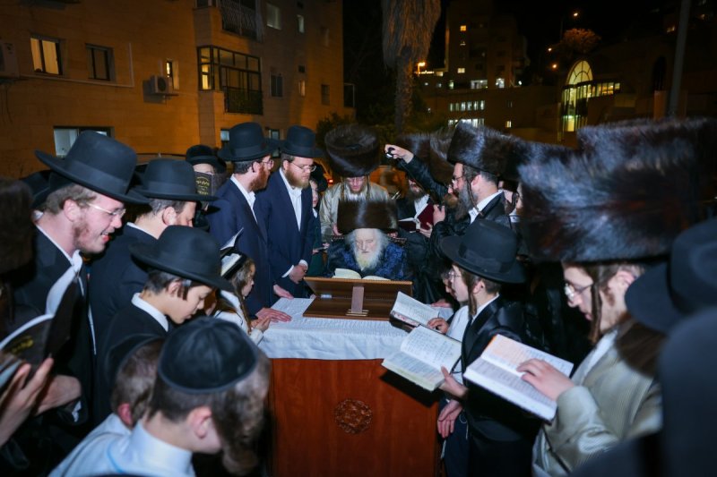 דניאל נפוסי