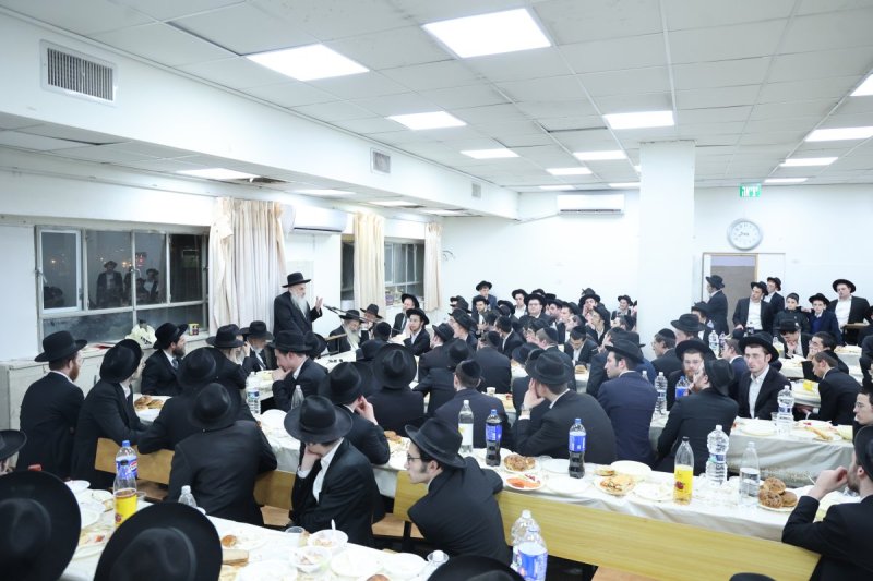 שלומי טריכטר