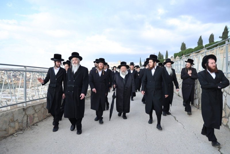 שלומי טריכטר