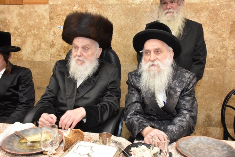 יהודה פרקוביץ