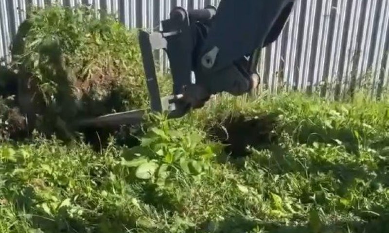 מבצע הצלה חריג: העופר שנפל לבאר עמוקה חולץ בהצלחה ושוחרר לטבע