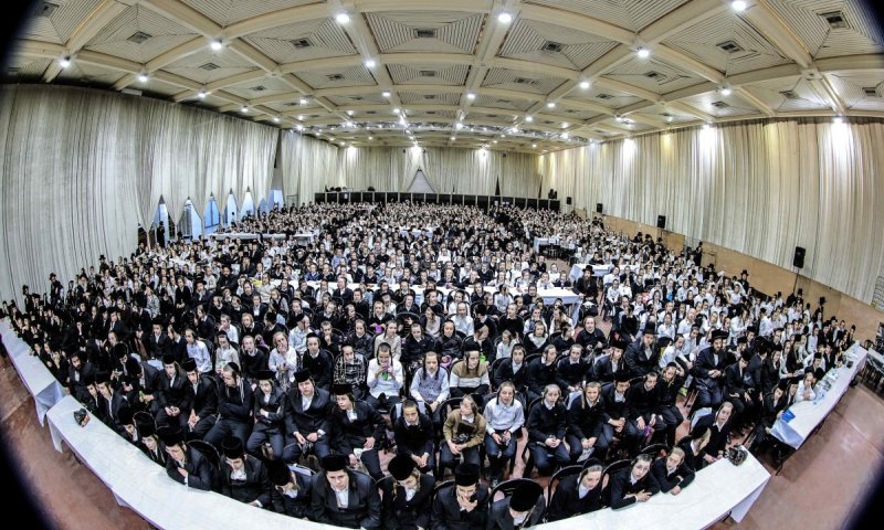 דור העתיד של החסידות: אלפי ילדי&nbsp;צאנז התכנסו למעמד עם האדמו"ר 