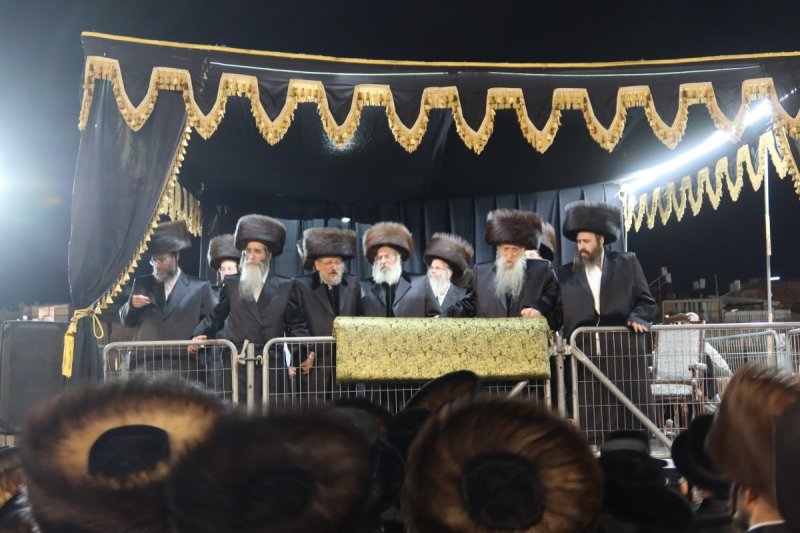 שימי פ.