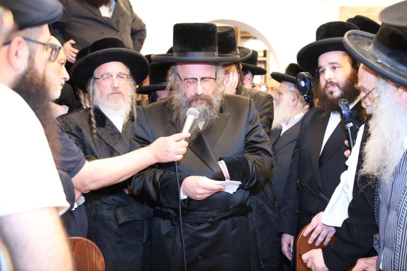 שלומי טריכטר