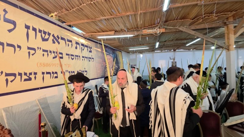 באדיבות המצלם