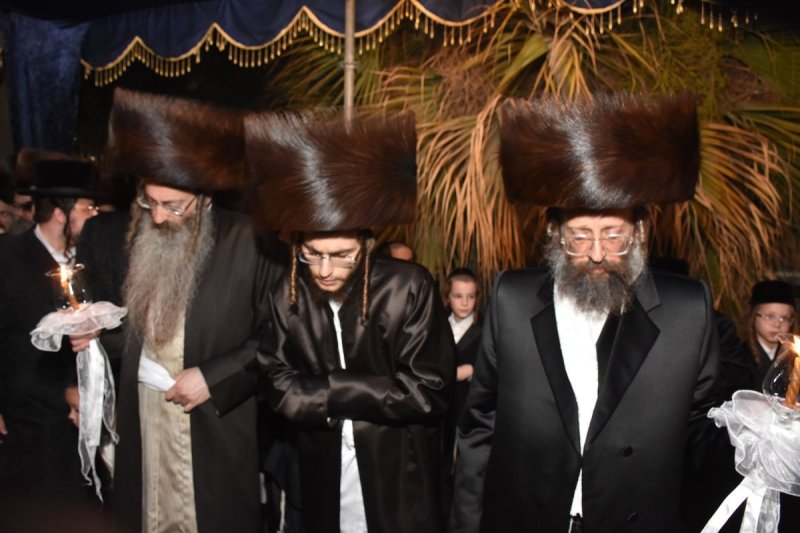 יהודה פרקוביץ