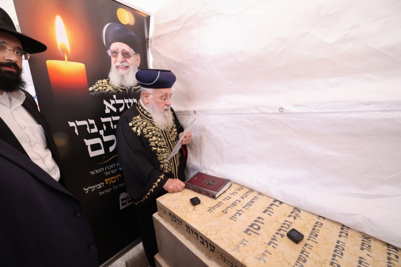 דוד ארזני