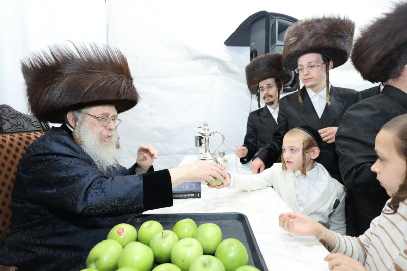 שלומי טריכטר