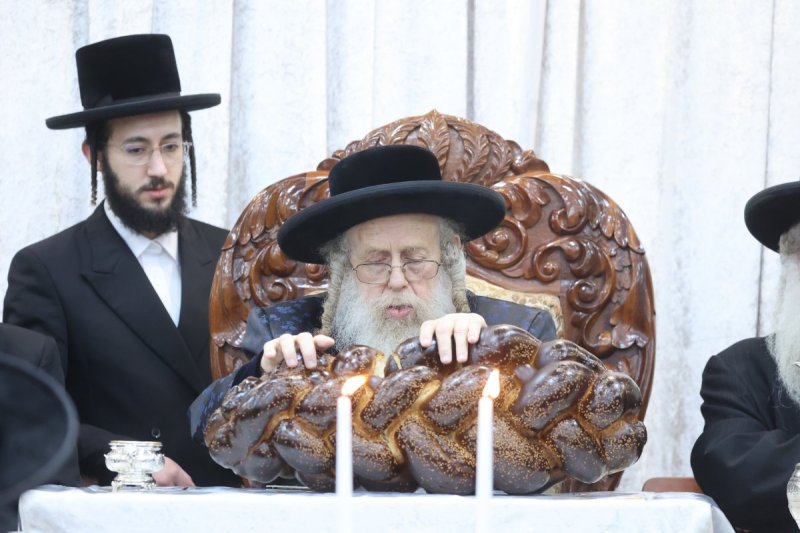 שלומי טריכטר