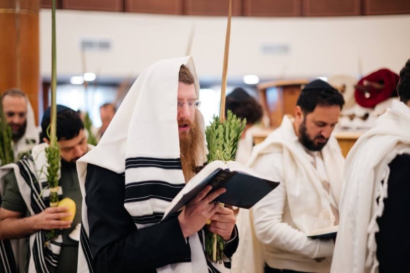 לוי נאזרוב