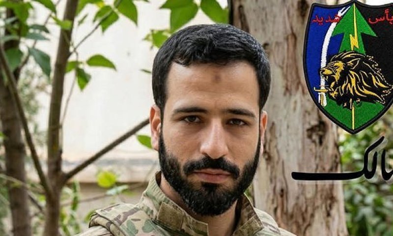 בשל לחצים מדיניים: חיסול מפקד רדואן אושר רק בפעם הרביעית