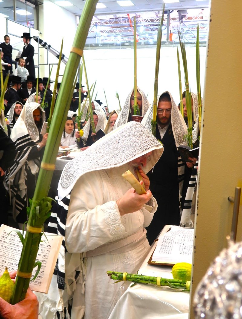 דוד ארזני וארי קופרשטוק