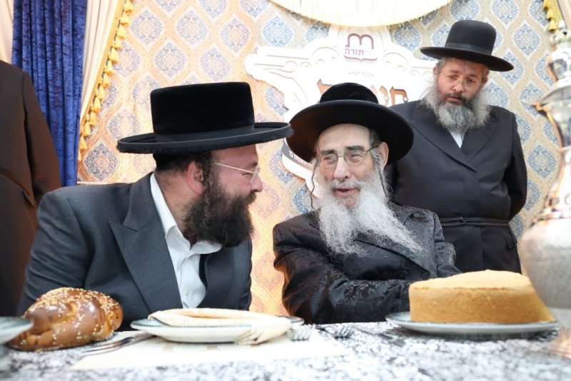 קובי הר צבי