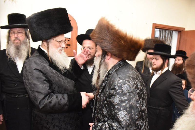 יהודה פרקוביץ