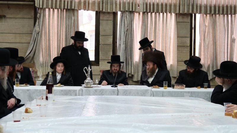 באדיבות המצלם
