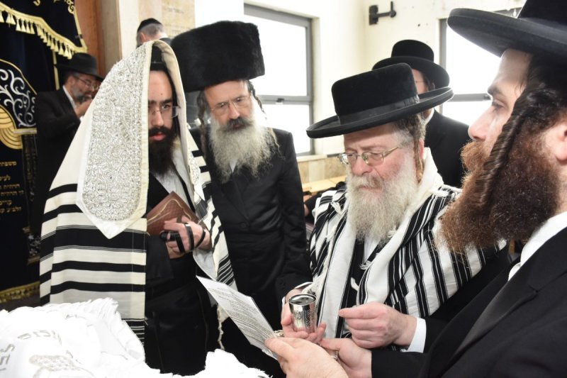 יהודה פרקוביץ