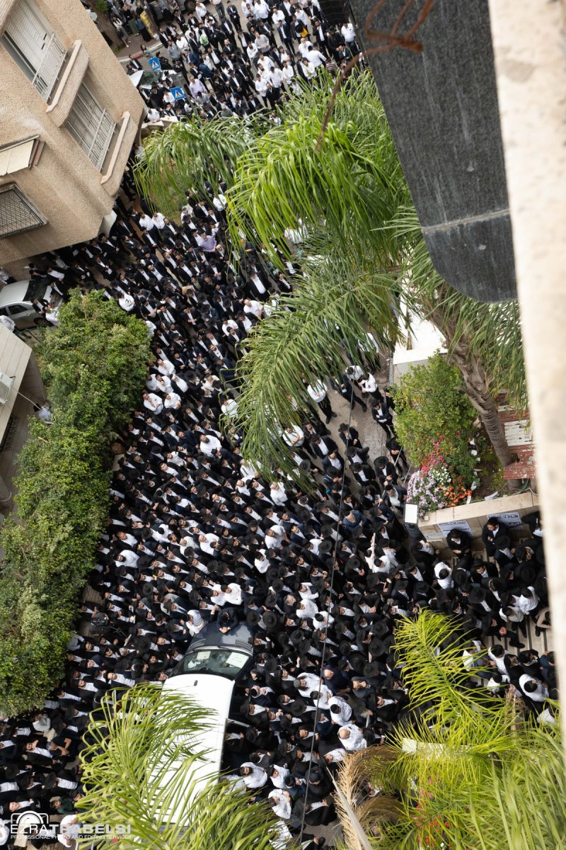 עזרא טרבלסי