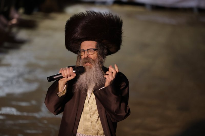 דוד כהן