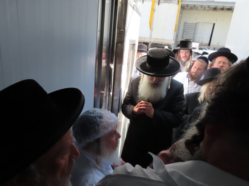 שלומי טריכטר