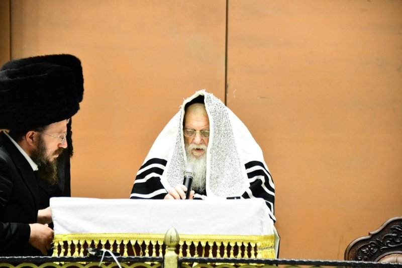 שוקי לרר