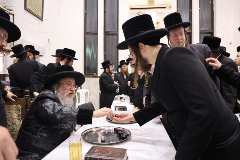 נתי אמרגי