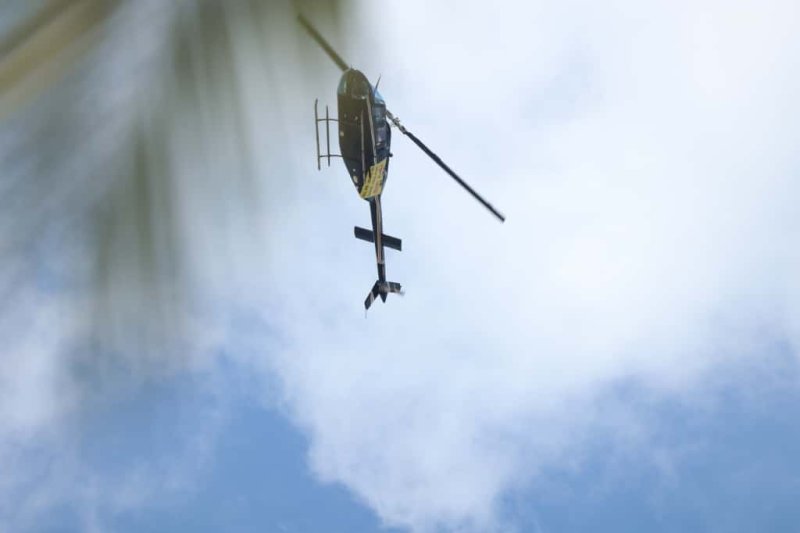 שמוליק קורלנסקי