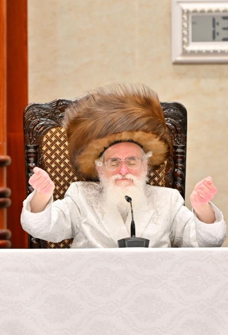 יהושע פרוכטר