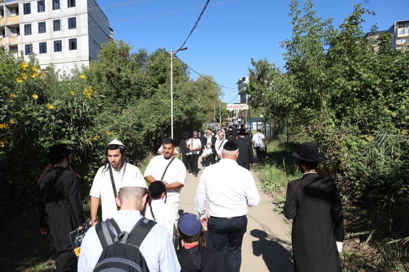 יהודה וויס