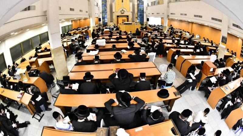 שוקי לרר