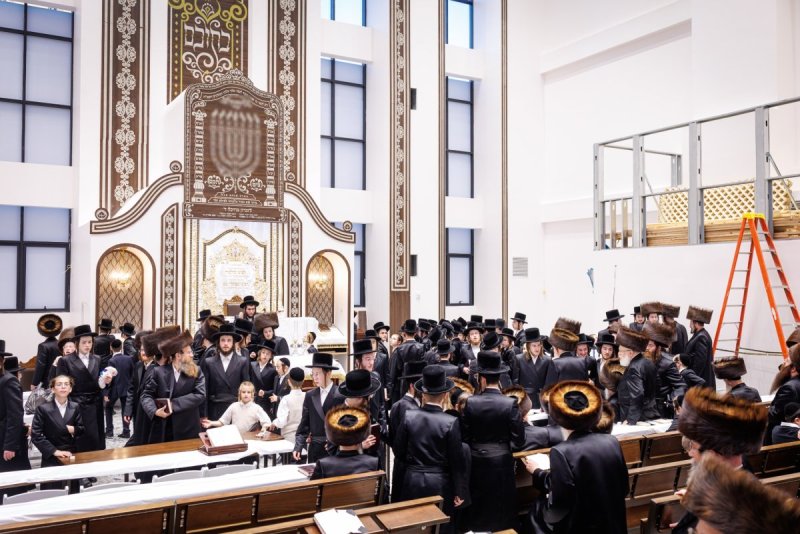 האחים לאנטשעווסקי ואושי וויינגארטן