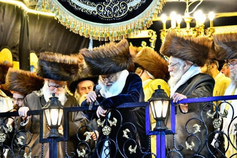 שוקי לרר