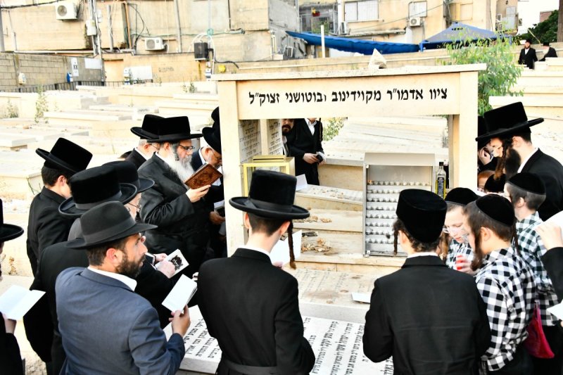 שוקי לרר
