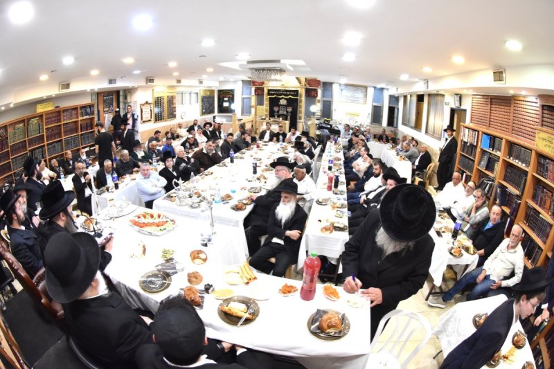 יהודה פרקוביץ