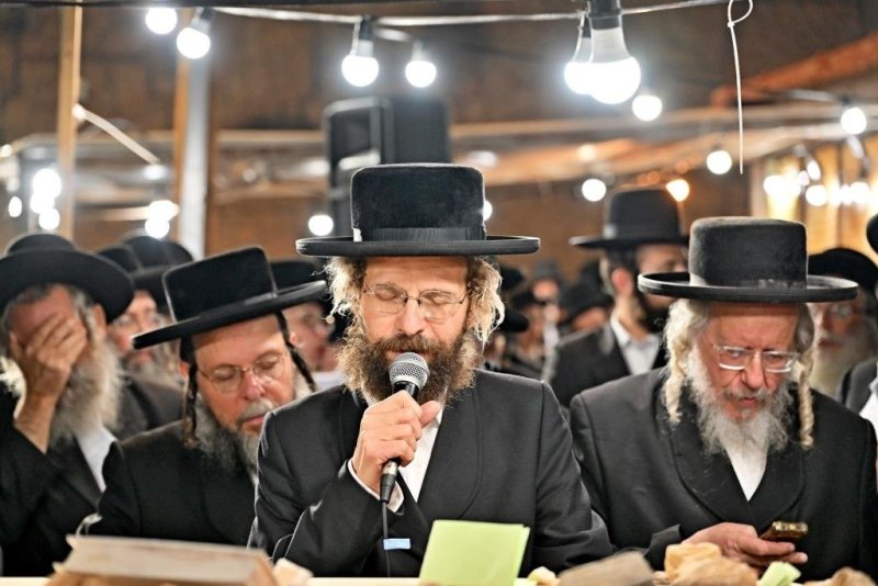 יהושע פרוכטר