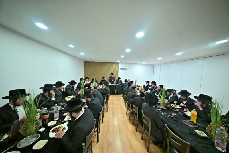 יהושע פרוכטר