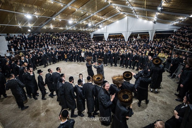 מענדי קוטלר