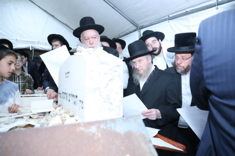 שלומי טריכטר