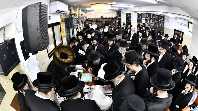 שוקי לרר