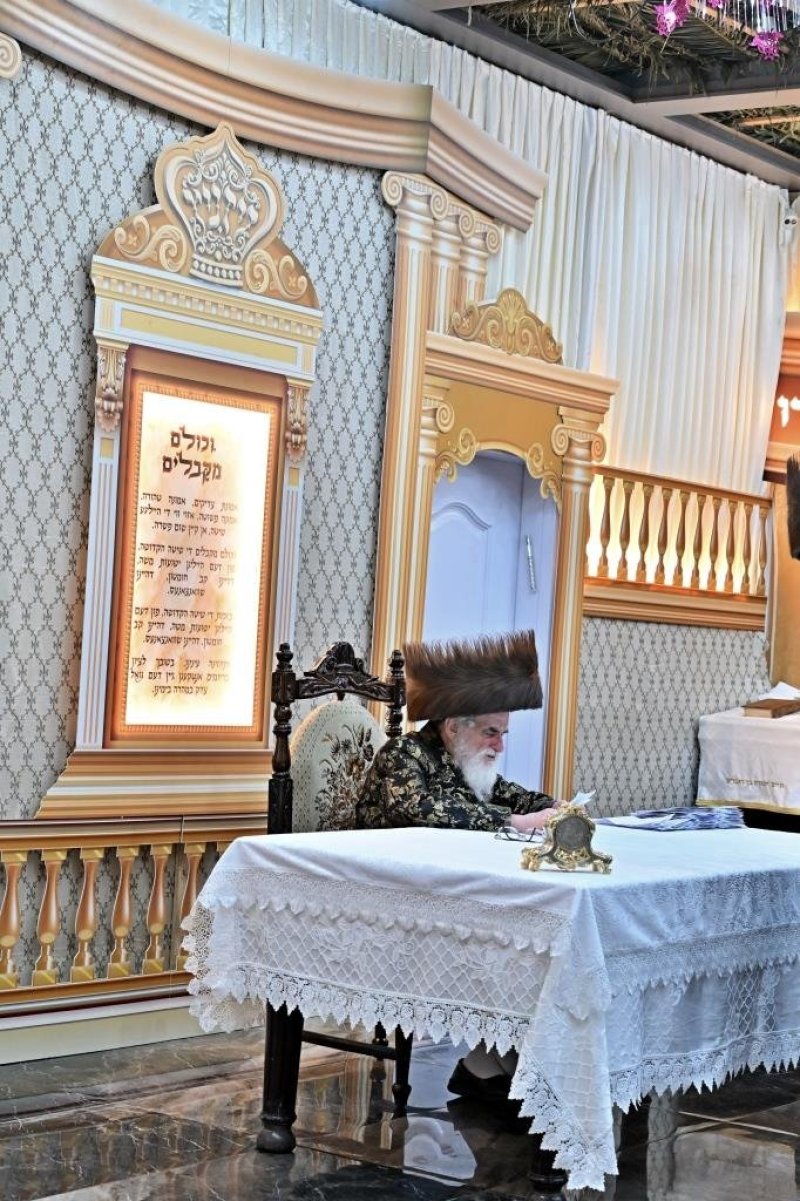 יהושע פרוכטר