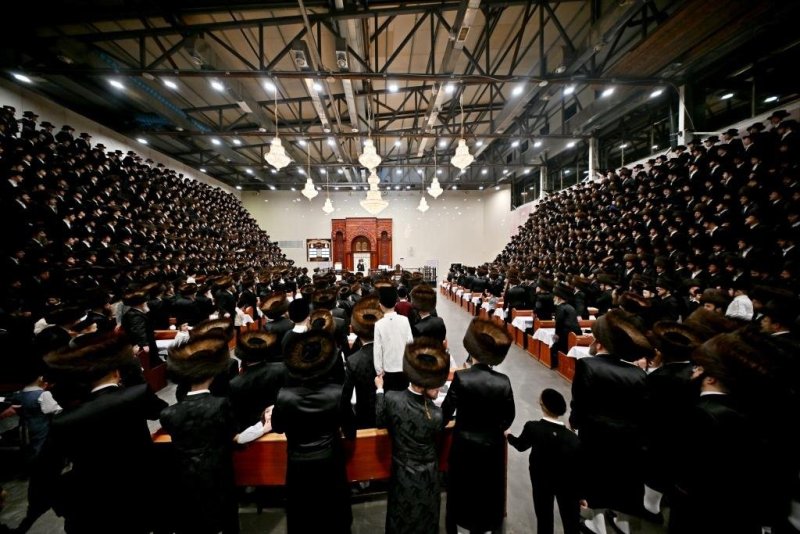 יהושע פרוכטר