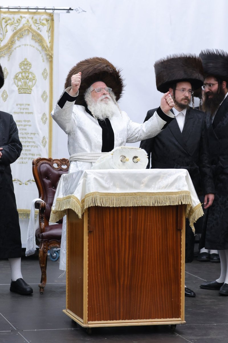 באדיבות המצלם