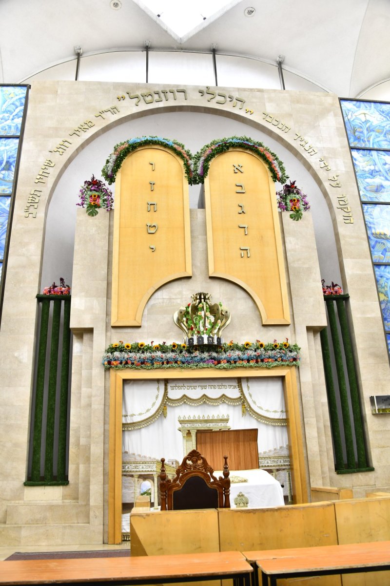 שוקי לרר